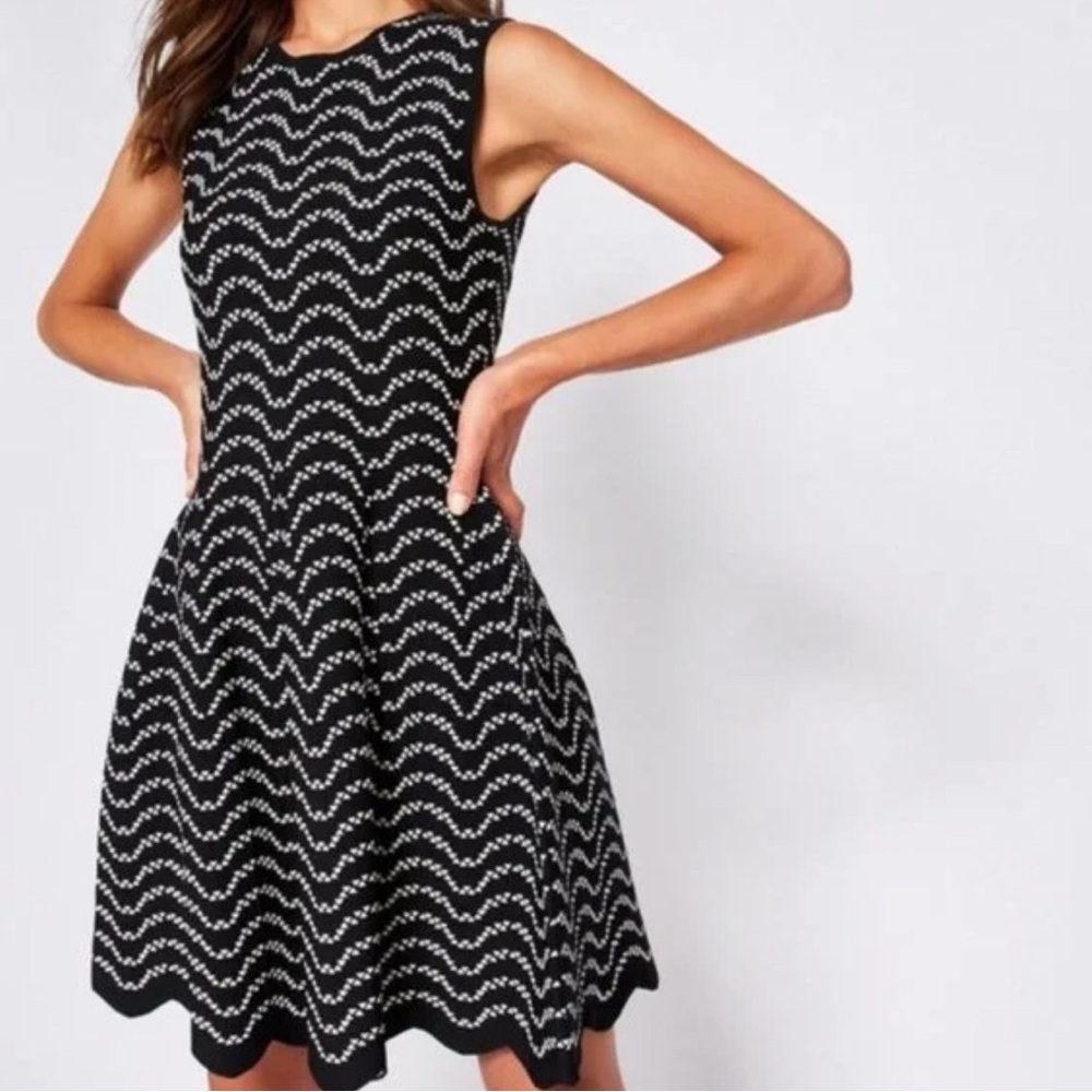 Ted Baker Bryena Fit Flare